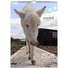 Load image into Gallery viewer, 500068b3-4945-4d40-a13b-ffc3cd12db09