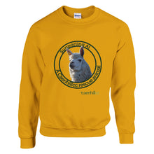 Load image into Gallery viewer, c0b20d5b-bffb-4973-b850-f830f677c680