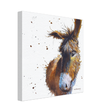 Load image into Gallery viewer, Fluffy, me? Coco the Donkey. Caroline's art canvas print