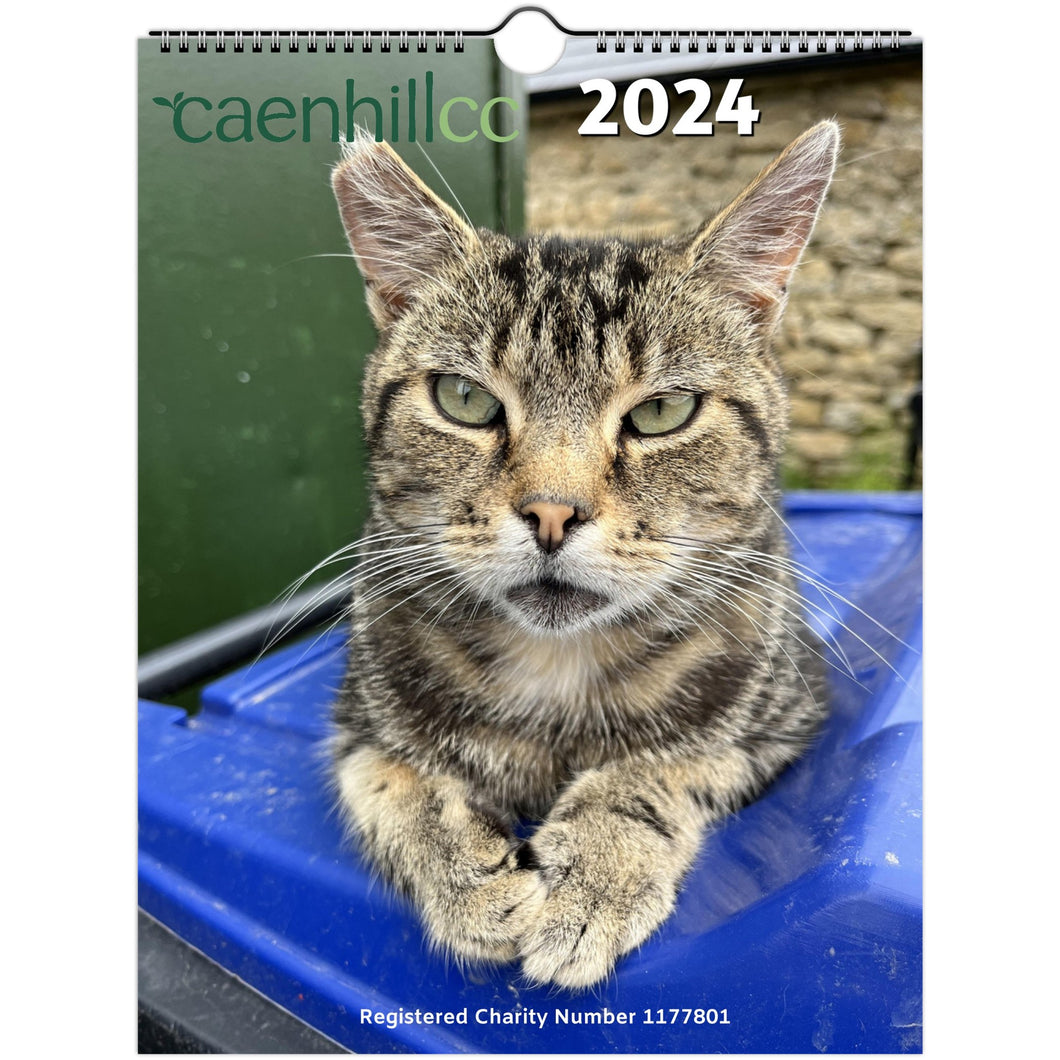 2024 Caenhillcc Cat Wall calendars (US & CA)