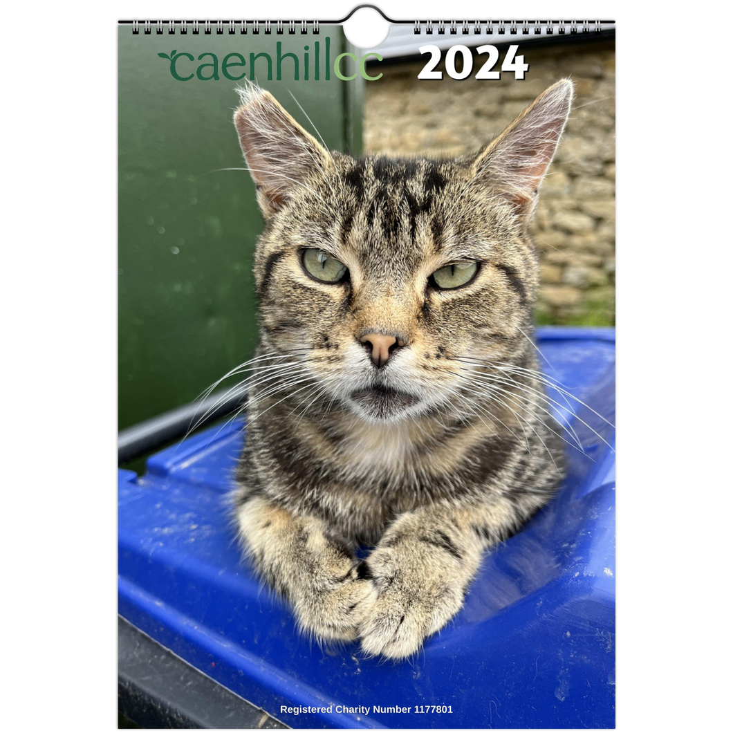 2024  Caenhillcc cat wall calendars available in Europe, Asia, Latin America, and Oceania