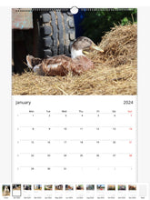Load image into Gallery viewer, 2024 Caenhillcc Wall calendars (US &amp; CA)
