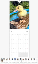 Load image into Gallery viewer, Caenhillcc 2024 Wall calendars (US &amp; CA) by Kara
