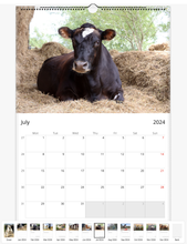 Load image into Gallery viewer, 2024 Caenhillcc Wall calendars (US &amp; CA)

