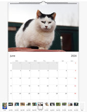 Load image into Gallery viewer, 2024  Caenhillcc cat wall calendars available in Europe, Asia, Latin America, and Oceania
